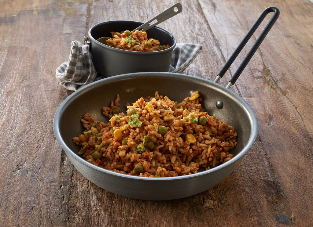 Trek'n Eat Bœuf Stroganoff Au Riz Lyophélisé – Repas Complet 616 Kcal, Idéal Randonnée Et Outdoor