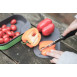 Wildo Cutting Board